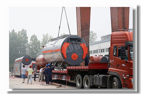 生物质蒸汽锅炉内部结构图是什么样的？？？？？